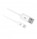Cabo USB 2.0 para Apple 30 pins, 1m