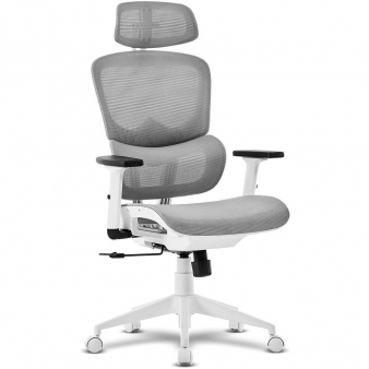 Cadeira de Escrit&oacute;rio Ergon&oacute;mica Offy Lyca Cinza/Branca