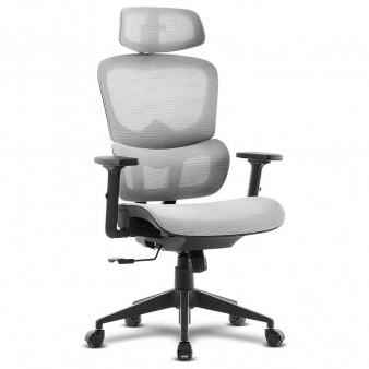 Cadeira de Escrit&oacute;rio Ergon&oacute;mica Offy Lyca Cinza/Preta