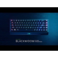 Teclado Mec&acirc;nico Razer BlackWidow V3 Mini HyperSpeed RGB Wireless Green Switch US