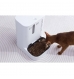 Comedouro Inteligente com Câmara Para Animais PETKIT YumShare Dual-hopper Automatic Feeder Branco