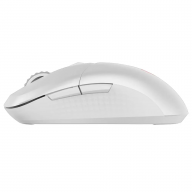 Rato Óptico MSI Versa 300 RGB Wireless/Bluetooth 8000DPI Branco