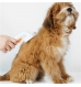Escova PTKIT Pet Grooming Brush 2
